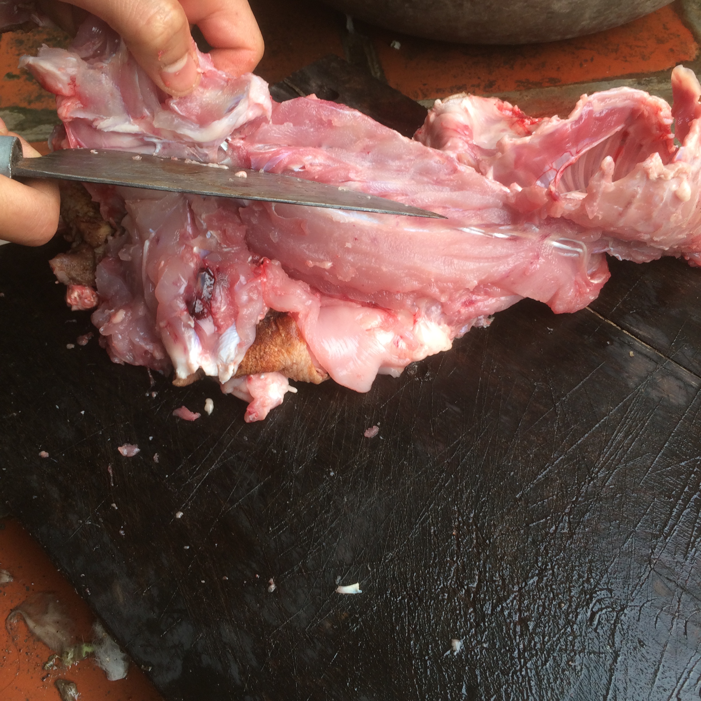 Cách làm thịt thỏ không hôi